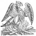 Fishes, Insects, Animals, Reptiles and Birds  (Part Two) | Chapter 18