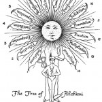 The Theory and Practice of Alchemy Part One | Chapter 34 The Theory and Practice of Alchemy Part One | Chapter 34