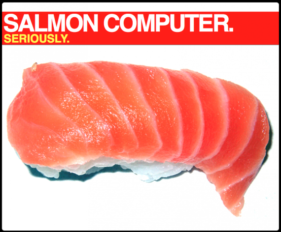 DNA Salmon computer