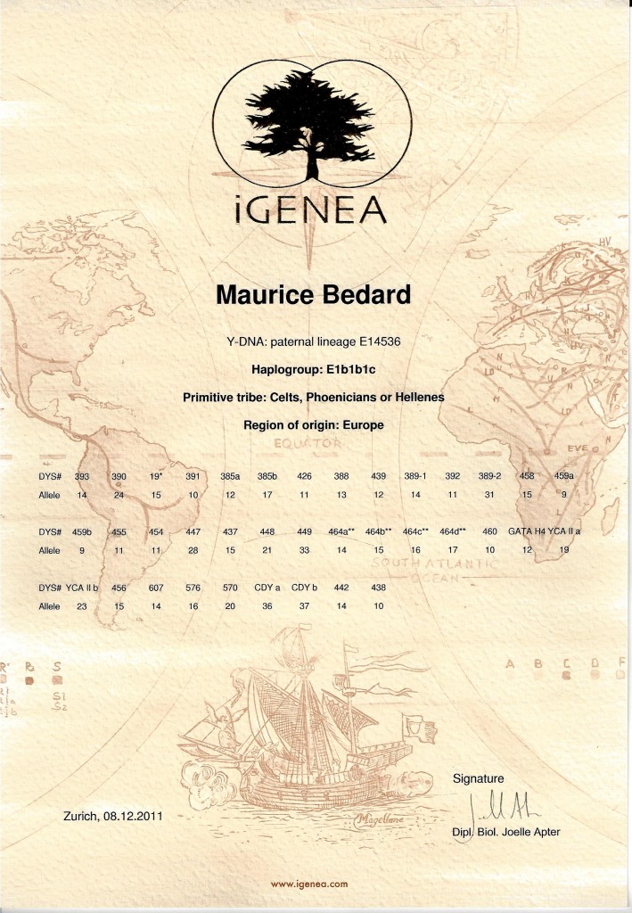 Maurice Bedard YDNA Tribal Origins