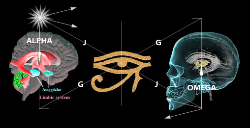 Secrets of the Pyramid Hippocampus brain
