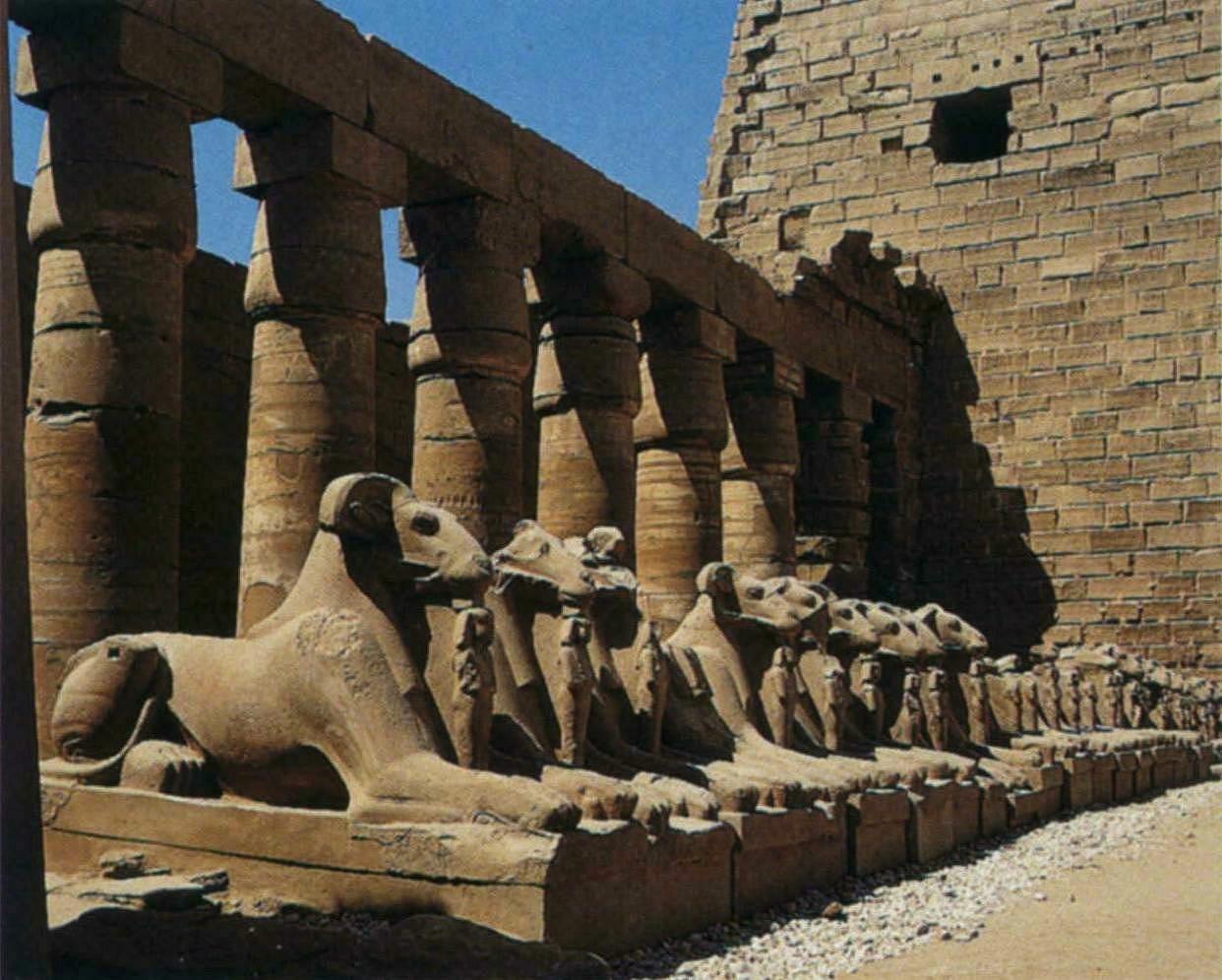 Secrets of the Pyramid Amon Ra Rams