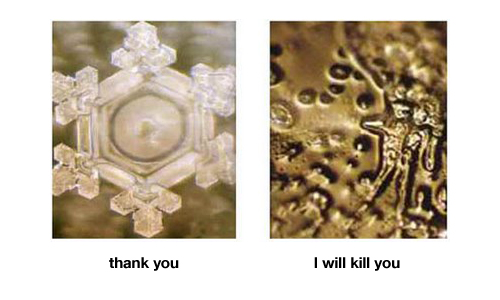 water words emoto