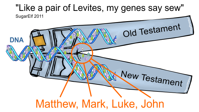 Levites dna