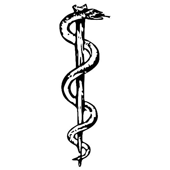 Rod_of_asclepius.jpg