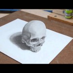 anamorphic skull