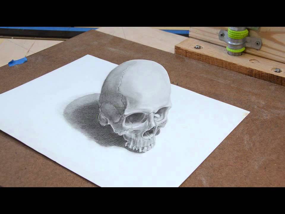 anamorphic skull