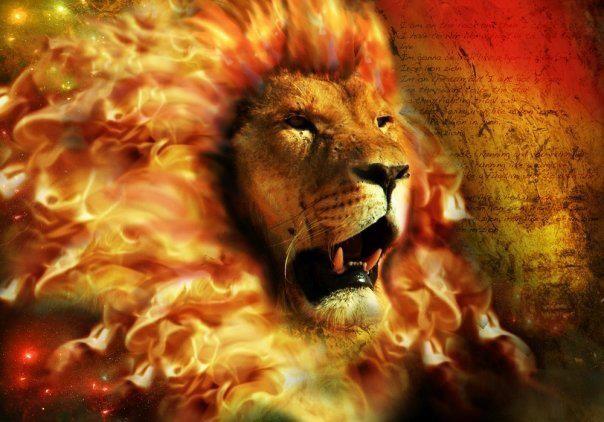 Tribe of judah lion