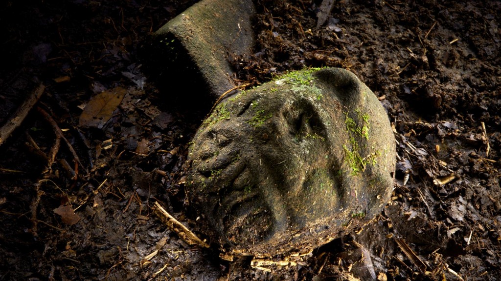 Lost Ancient City of the Monkey God Discovered in the Honduran Rain Forest