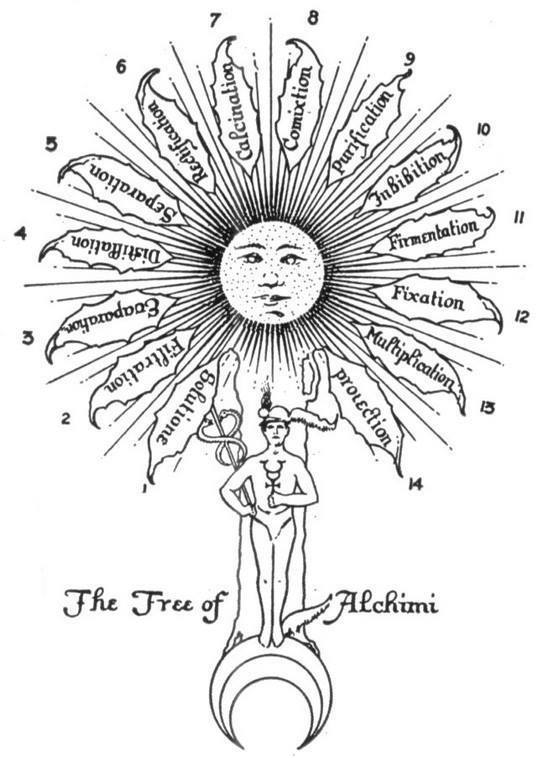 This tree is indeed a Tree of Life Alchemy image tree of life