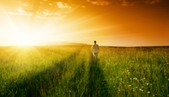 one man and field of summer grass and sunset