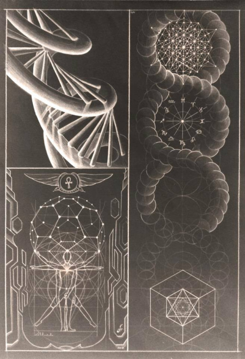 Symbols – DNA Phi