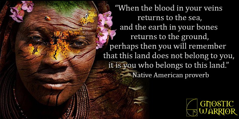 GW-quote–native-american-proverb