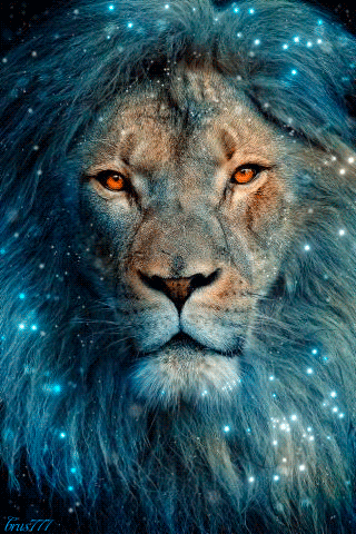 Lion of Judah 2