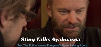 Sting talks about his ayahuasca experience