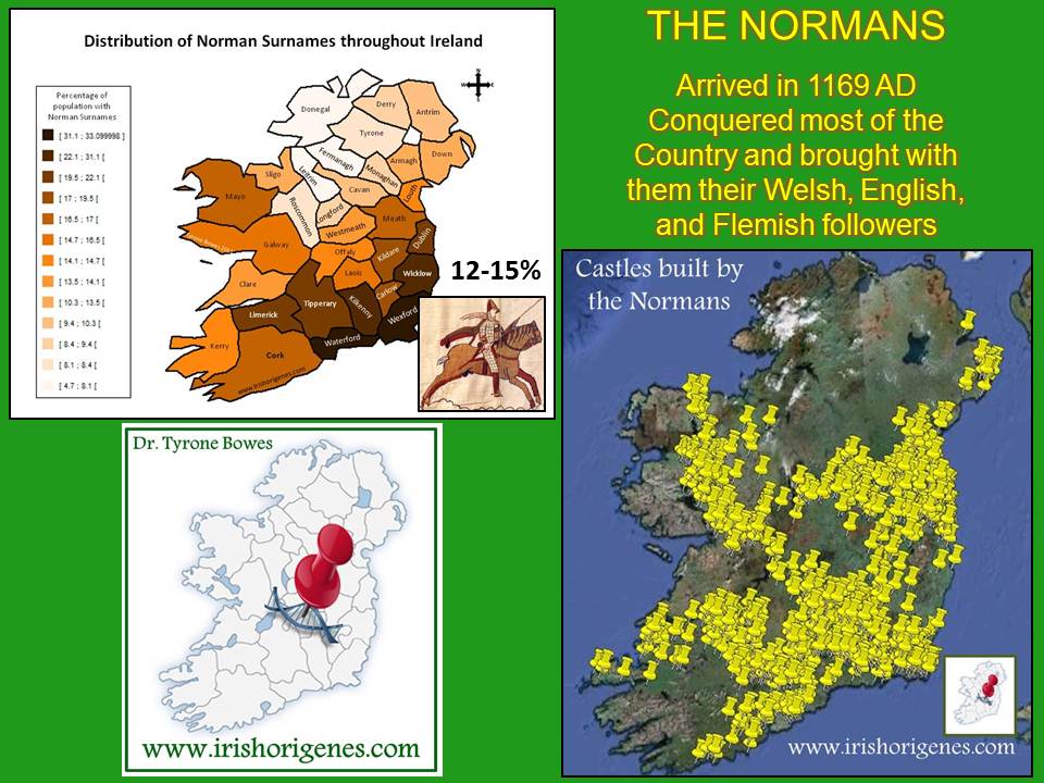 irish dna