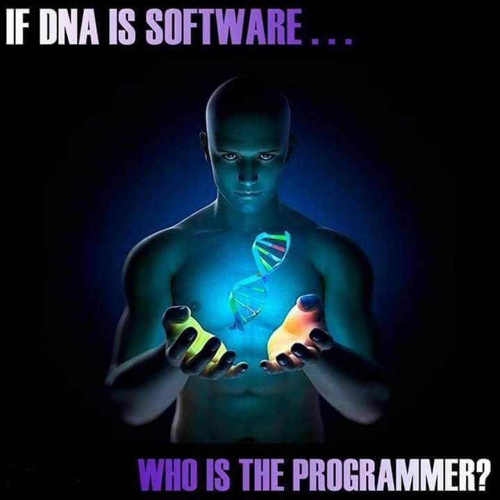 DNA Software