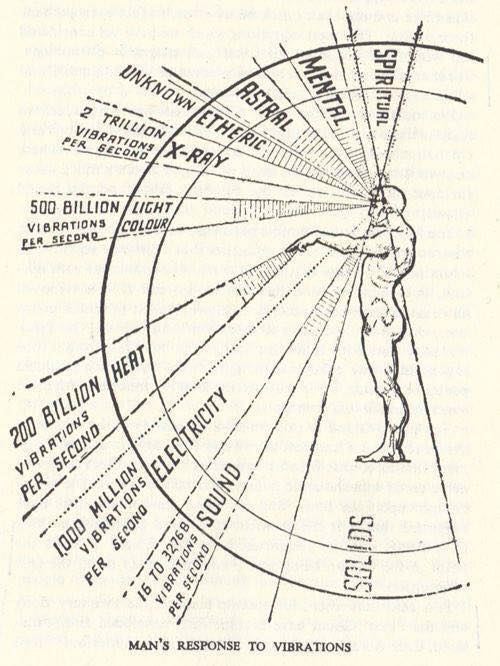 Man's Response to Vibrations