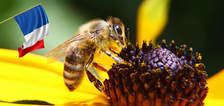 france ban pesticides