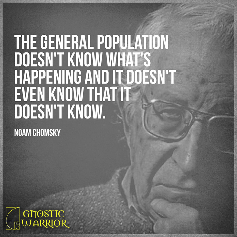 gw-quote-noam-chomsky