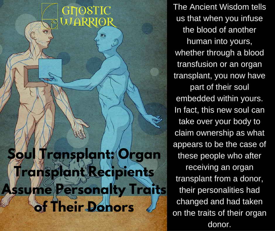 gw-organ-transplant