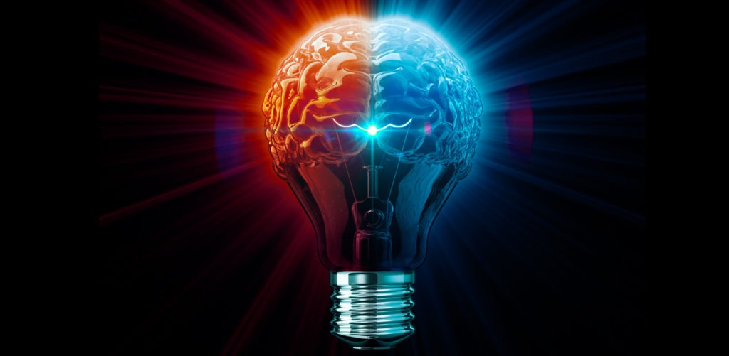 The Meaning of Idea