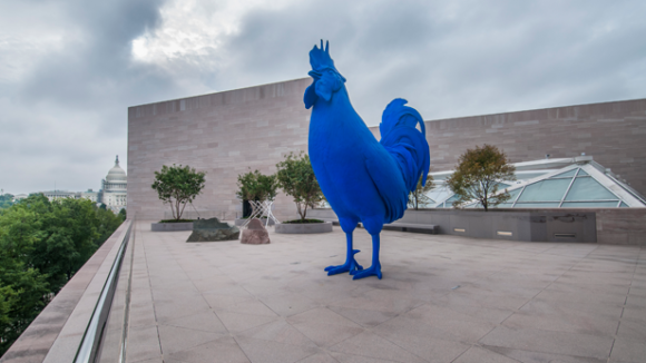 WC – Blue Cock W