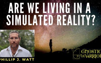 Phillip J. Watt: Are we living in a simulated reality?