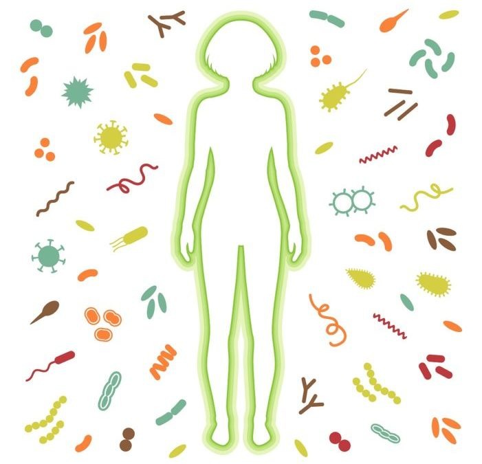 How fungi and viruses trick the immune system into ignoring infections