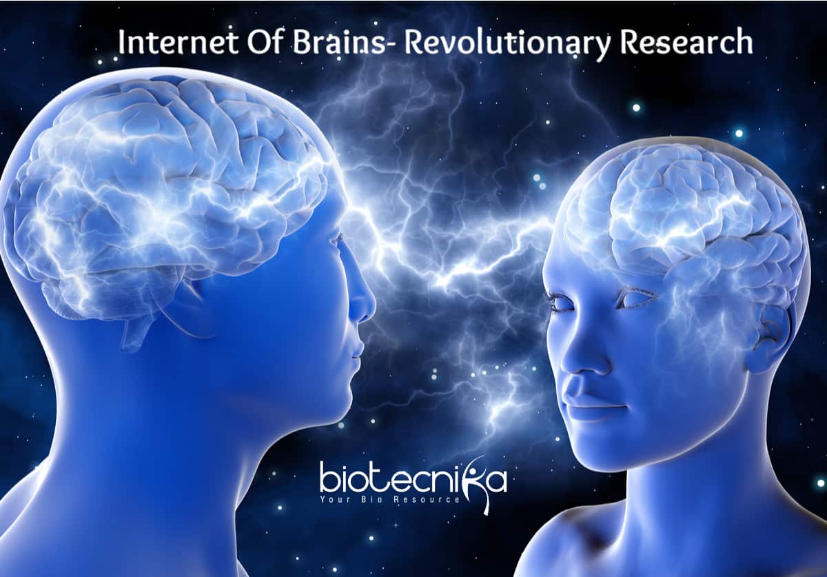 New-Research-On-Internet-Of-Brains-1-1