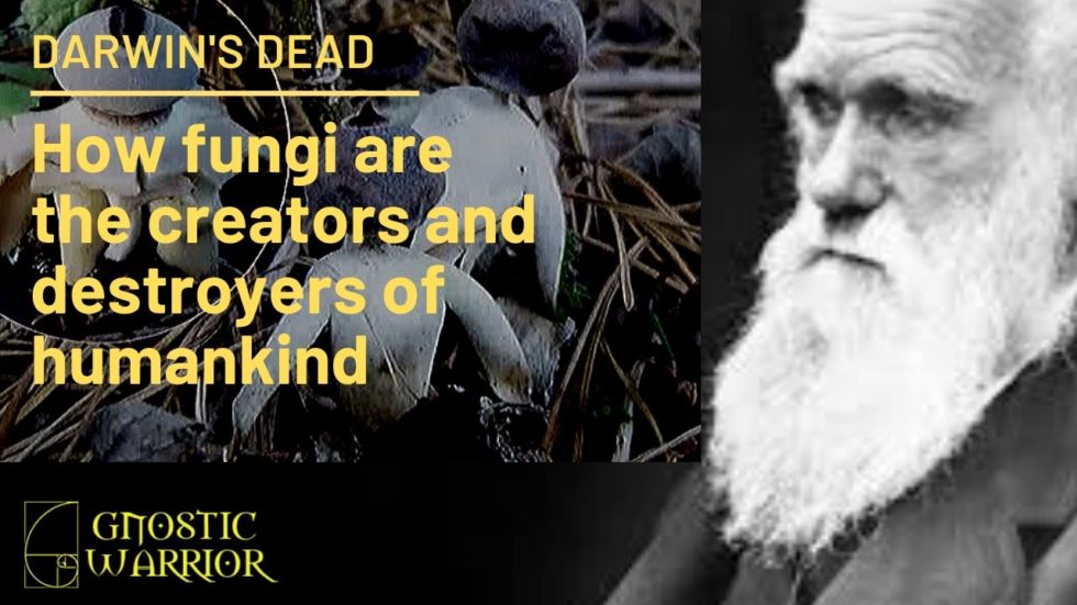 Darwin’s Dead How fungi are the evolutionary creators and destroyers