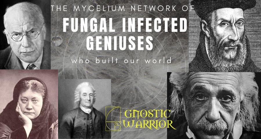 The mycelium network of fungal infected Geniuses who built our world