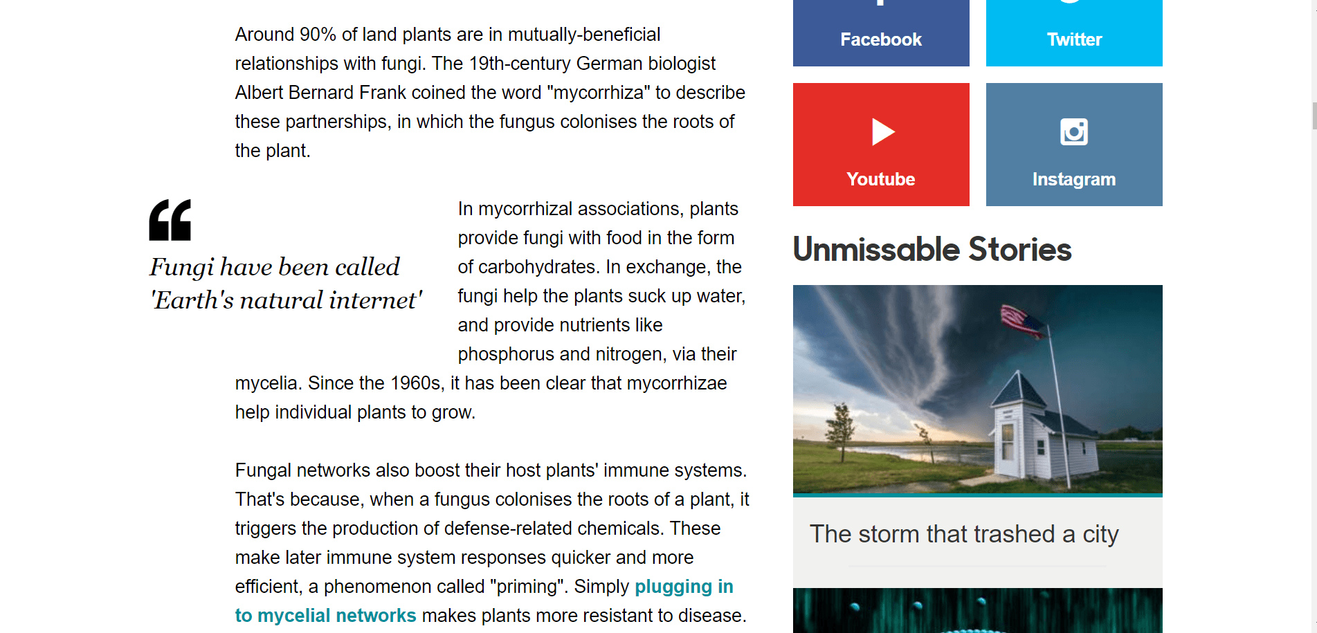 BBC Earth Plants talk to each other using an of fungus (1