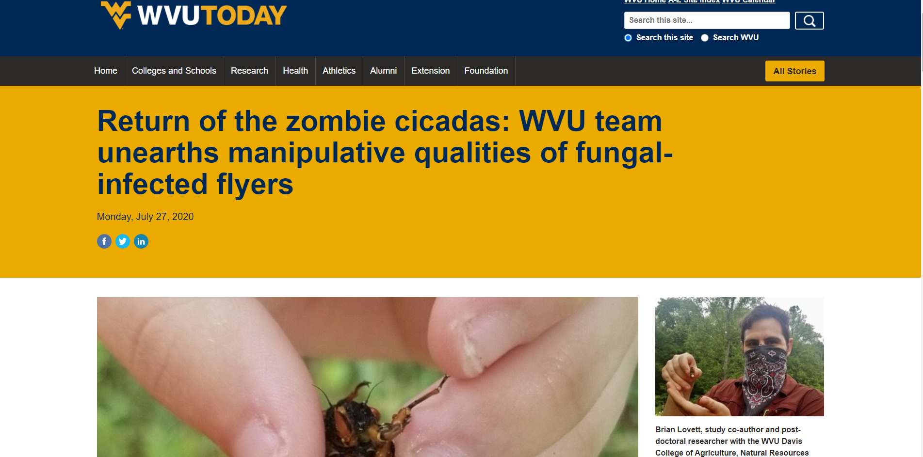 Return-of-the-zombie-cicadas-WVU-team-unearths-manipulative-qualities-of-fungal-infected-flyers-WVU-Today-West-Virginia-University