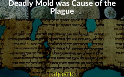 Ancient Dead Sea Scrolls Reveals Deadly Mold was Cause of the Plague