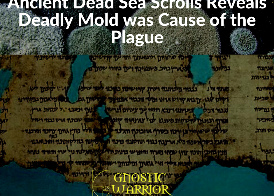 Ancient Dead Sea Scrolls Reveals Deadly Mold was Cause of the Plague