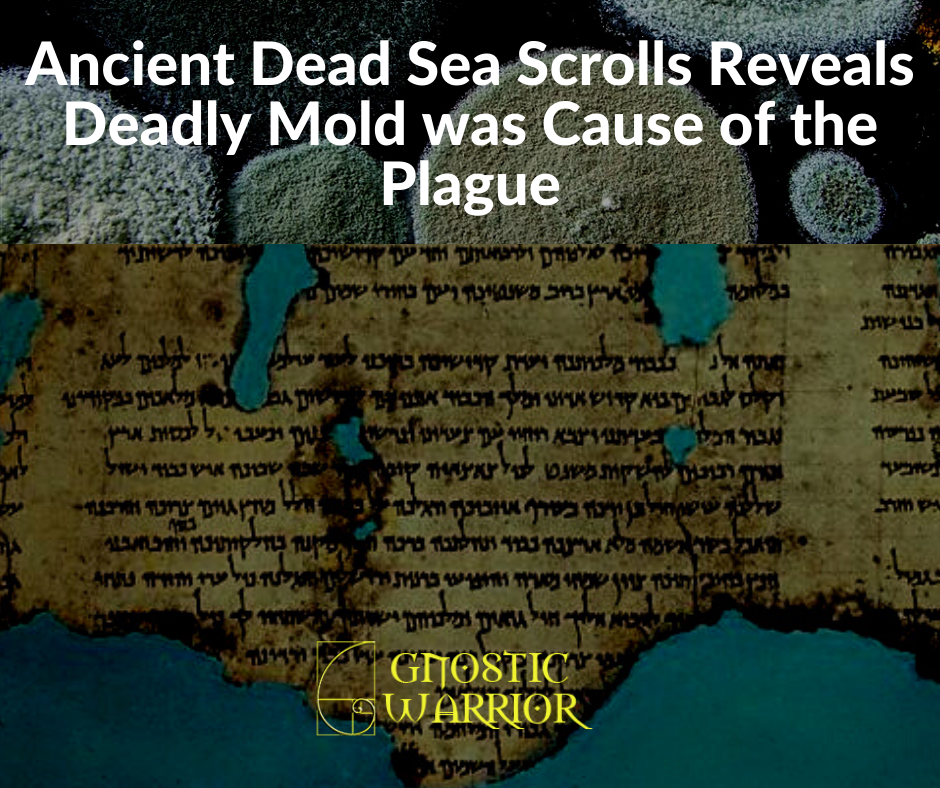 Ancient Dead Sea Scrolls Reveals Deadly Mold was Cause of the Plague (1)