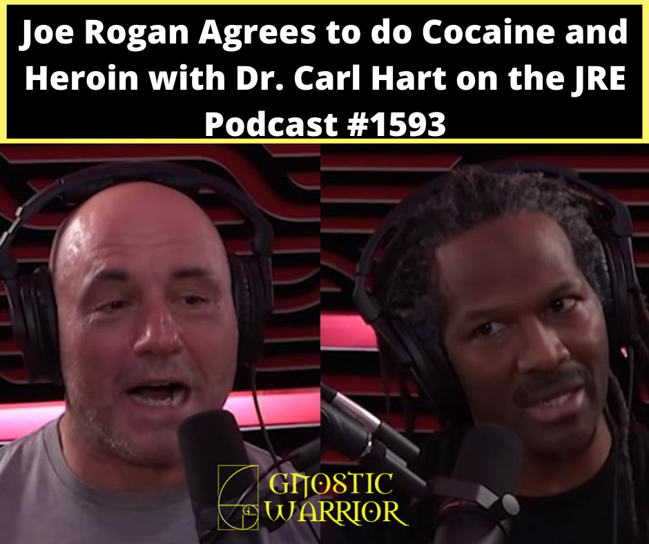 Dr. Carl Hart Joe Rogan Podcast #1593