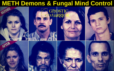 Meth Demons: How methamphetamine addicts develop parasitic fungal infections