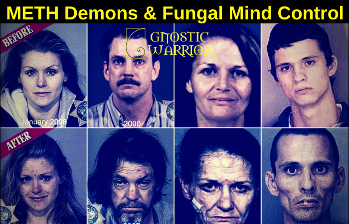 METH Demons and Fungal Mind Control