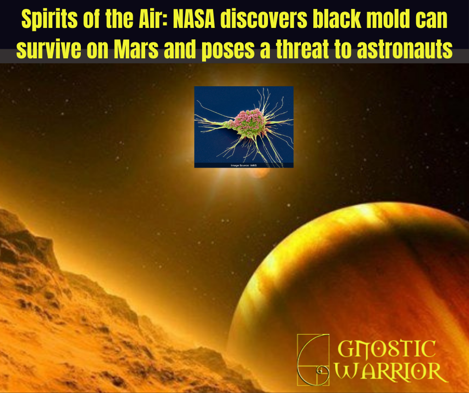 Mars Mold