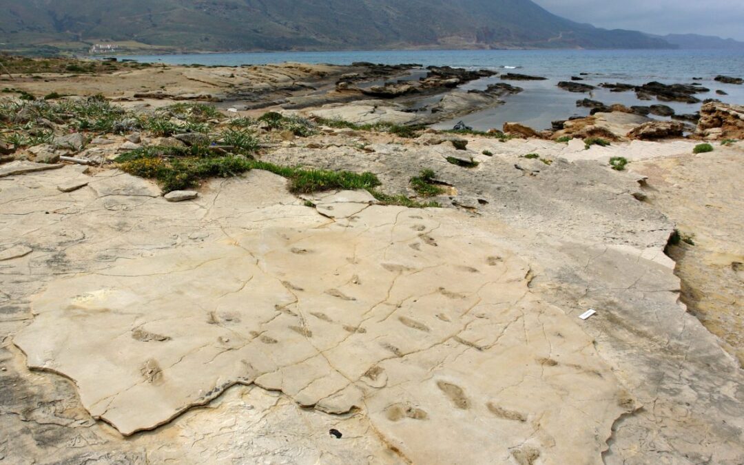 Earliest Footprints of Humanoids Discovered on the Island of Crete