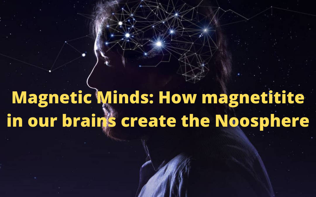 Magnetic Minds: How magnetite in our brains create the Noosphere