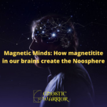 Magnetic Minds How magnetitite in our brains create nanospheres for the Noosphere