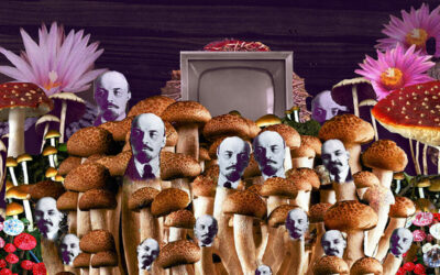 Lennin Was a Mushroom