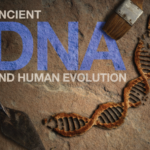 Ancient DNA and