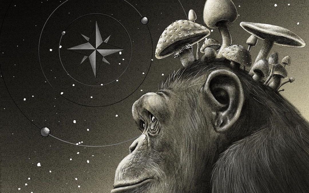 The Stoned Ape Theory