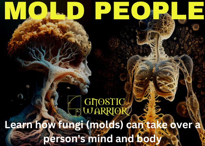 Mold People: Learn how fungi (molds) can take over a person’s mind and body