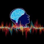 neural oscillations
